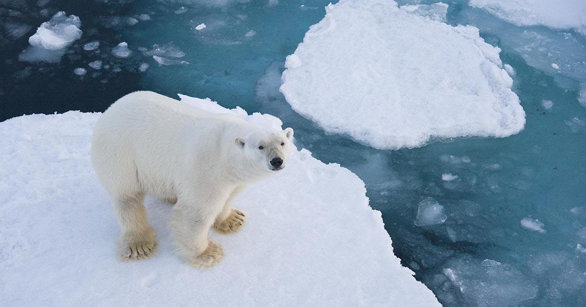 Climate change a major threat to global health, says WHO